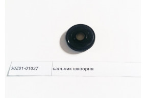 Сальник шкворня
