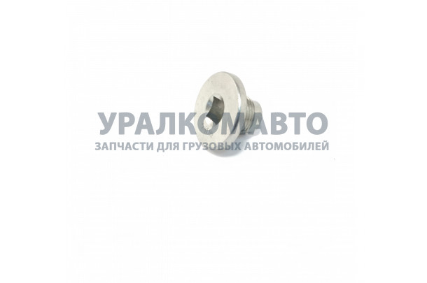 Пробка сливная картера дв.  ISF 
