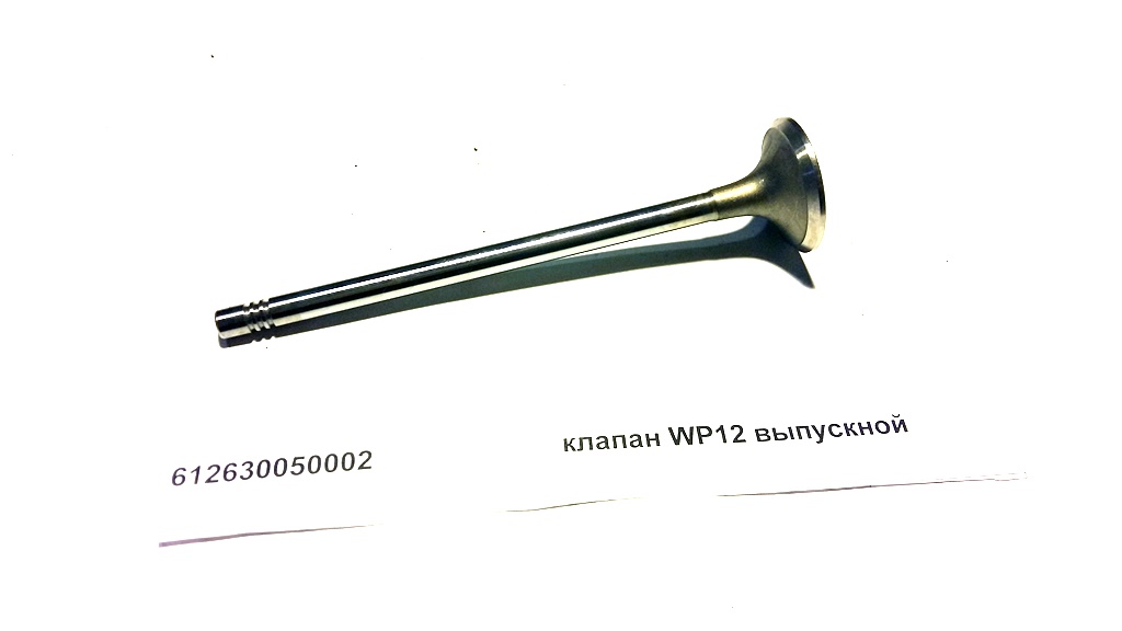 Клапан выпускной WP12
